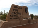 Organ Pipe Cactus National Monument, Pima County, Arizona (98)